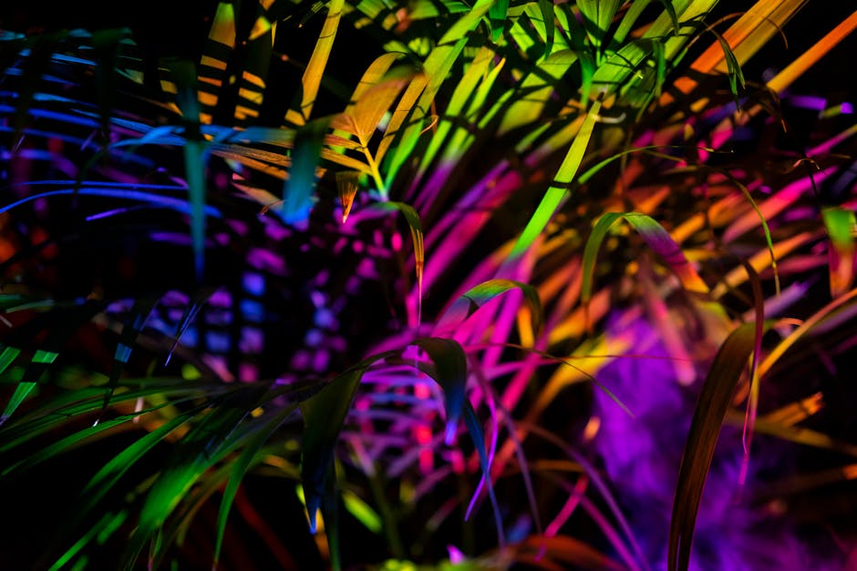 Biophilic lighting design with natural elements